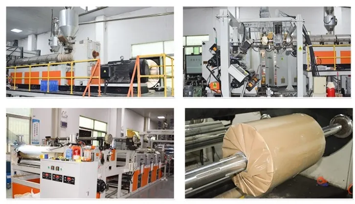 0.1mm-3mm Pet Film Sheet for Printing and Vacuum Forming