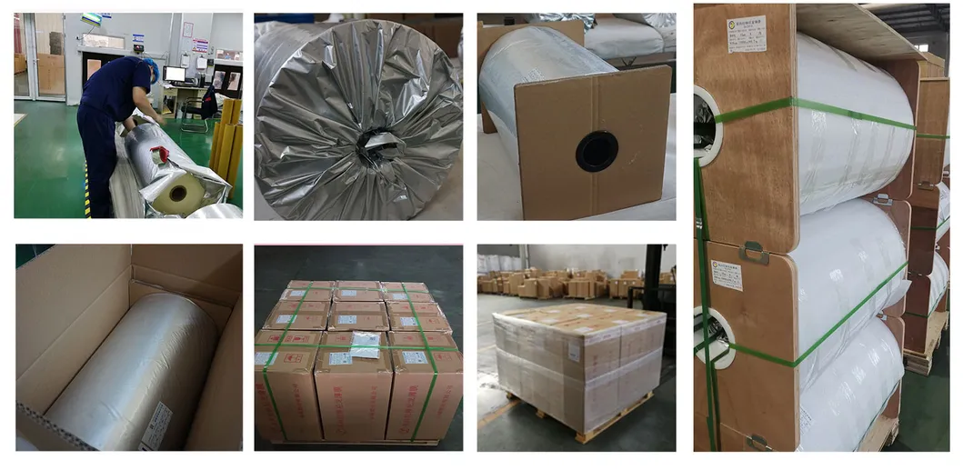 12mic/15mic/25mic Yuncheng BOPA Film for Metalized