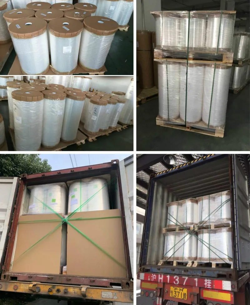 12mic~70mic Glossy/Heat Sealable/Matte/White/Pearlized BOPP Film for Printing and Laminating