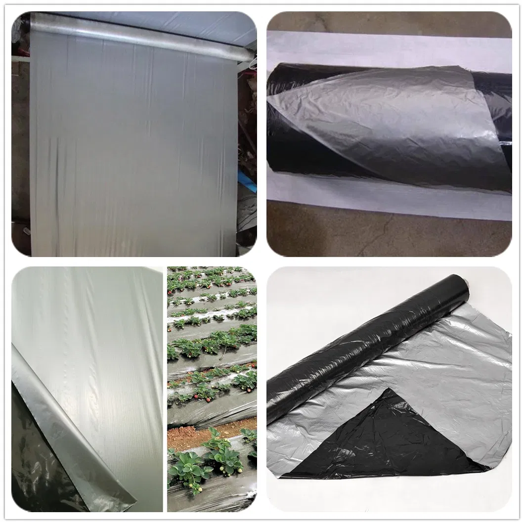 20um 25um 30um Anti-UV Black Silver Mulch Film /Black Silver Weeding Film/Black Silver Anti Insect Film