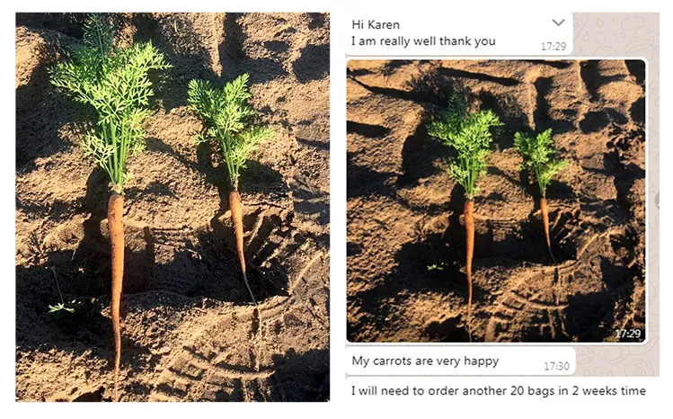 Biodegradable Water Saving Gel for Plants