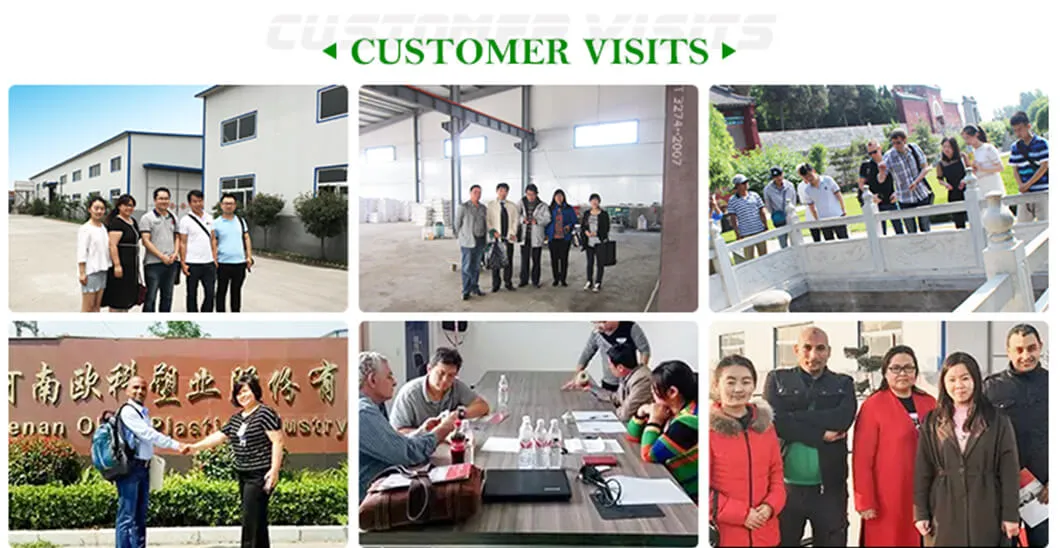 China Best Quality Backyard Synthetic Ice Rink Panel, Artificial Ice Rink Floor for Ice Hockey Sports
