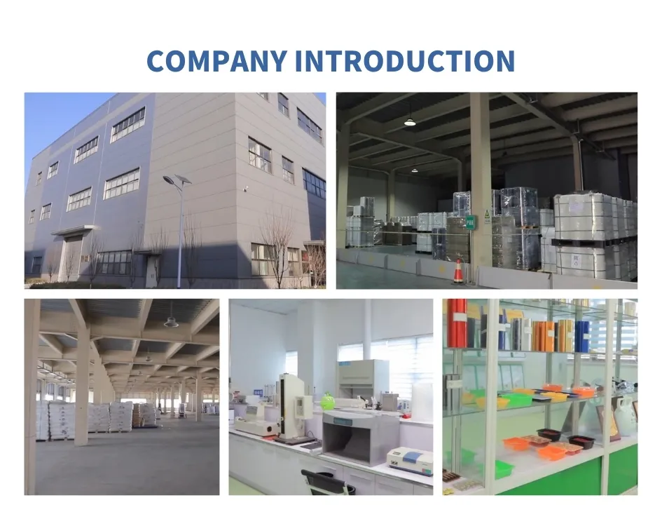 China Pet Material Pet Sheet Pet Roll Pet Film for Vacuum Forming