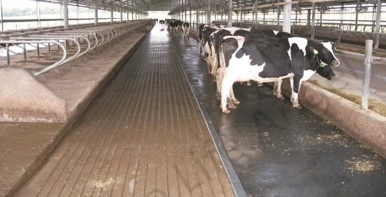 Corrosion-Resistant Foam Livestock Mat Stripe Antiskid Rubber Sheet Cow Mat Best Care for Animals