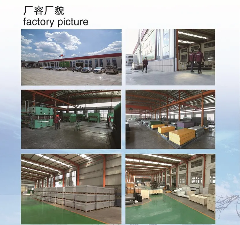 Extruded PP Panels Floorball Rink