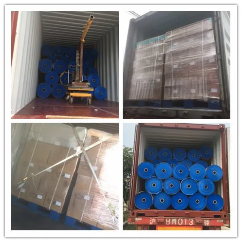 Low Density Polyethylene LDPE Clear Plastic Film