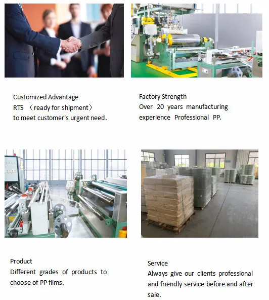 Pharma Blister White Semi Transparent Rigid Plastic Pet Films Printing PVC /PE/ PS/Polypropylene PP HDPE Sheet Foil Film for Medicine Trays and Food Packing