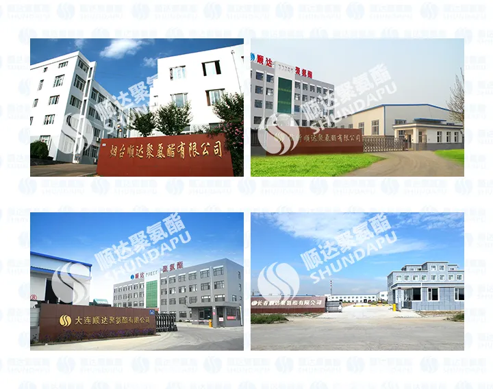 Polyester Polyols Tr-6315 From China