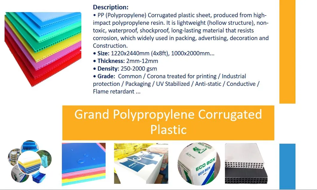 Polypropylene PP Plastic Separator Sheets for Soft Drinks Bottle Layer Divider