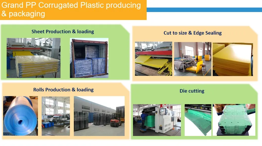 Polypropylene PP Plastic Separator Sheets for Soft Drinks Bottle Layer Divider