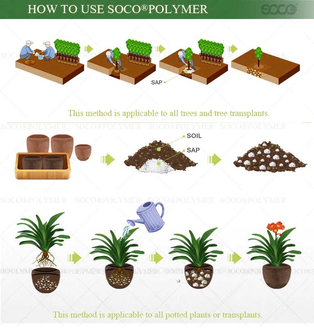 Potassium Polyacrylate Sap Super Absorbent Polymer with SGS for Plants