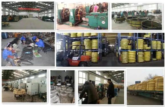 SAE DIN Standard Braid Colorful Heat Resistant Oil Pipe Fuel Hose