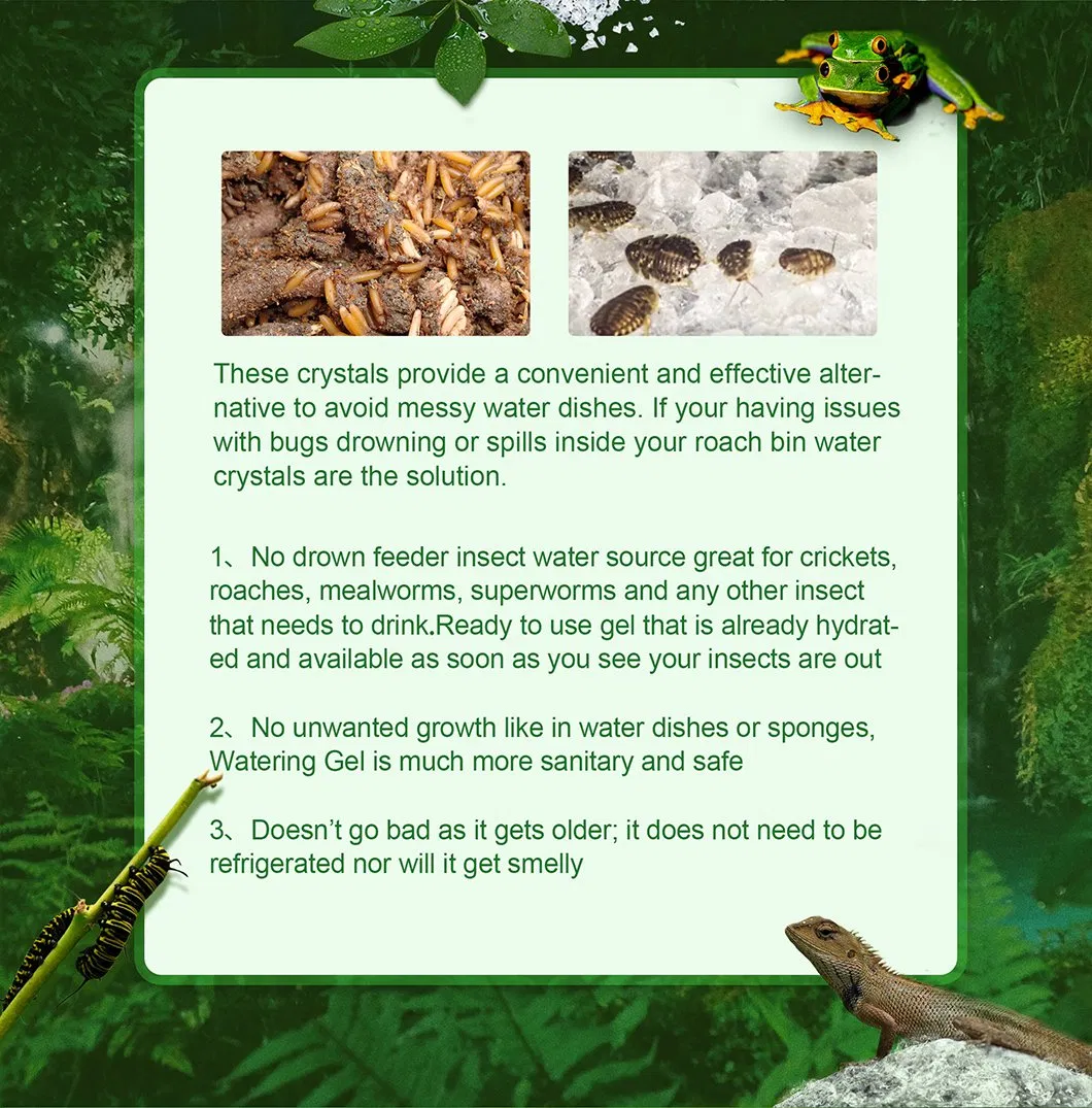 Soco Insect Watering Gel Water Crystals for Insect Feeder Super Absorbent Polymer Manufacturer