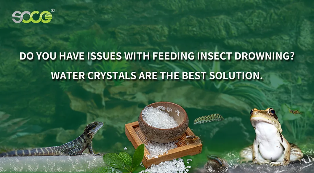 Soco Insect Watering Gel Water Crystals for Insect Feeder Super Absorbent Polymer Manufacturer