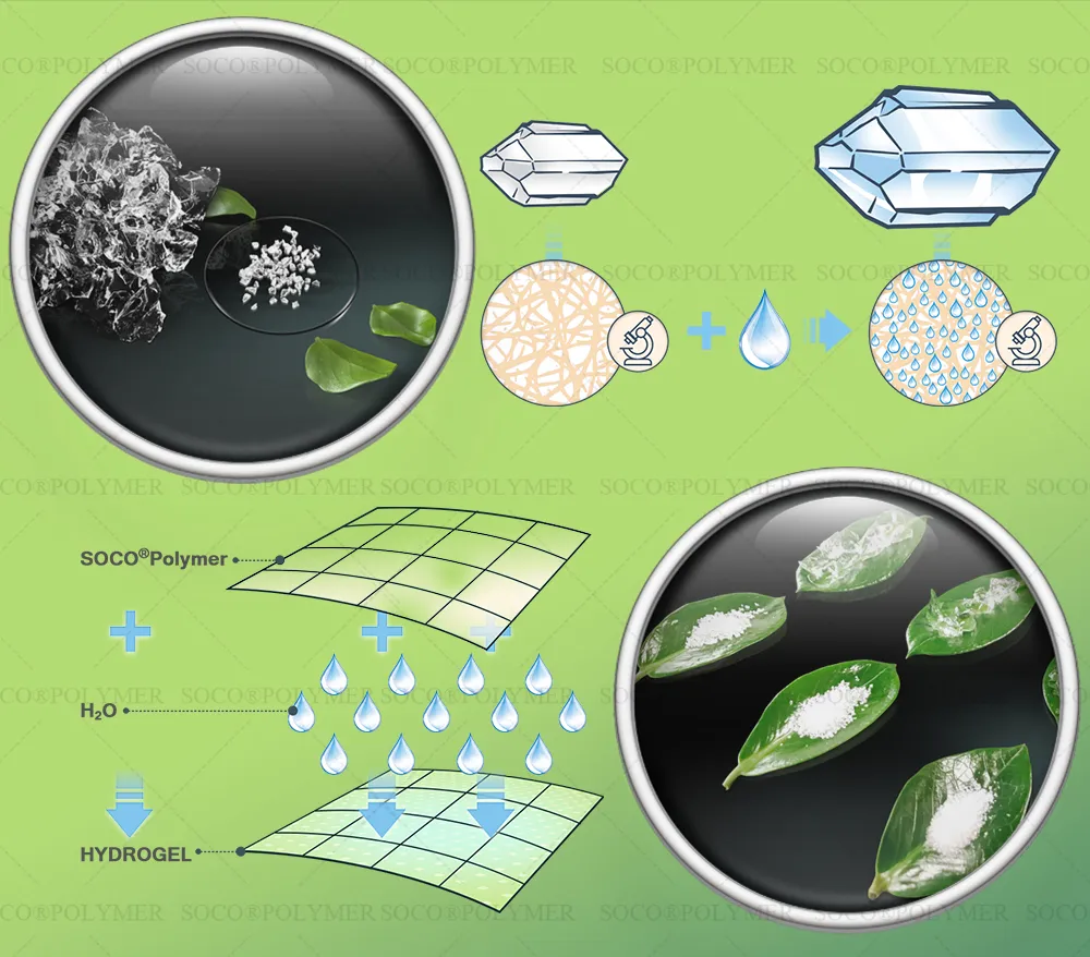 Soco Polymer Potassium Polyacrylate Superabsorbent Polymers for Banana