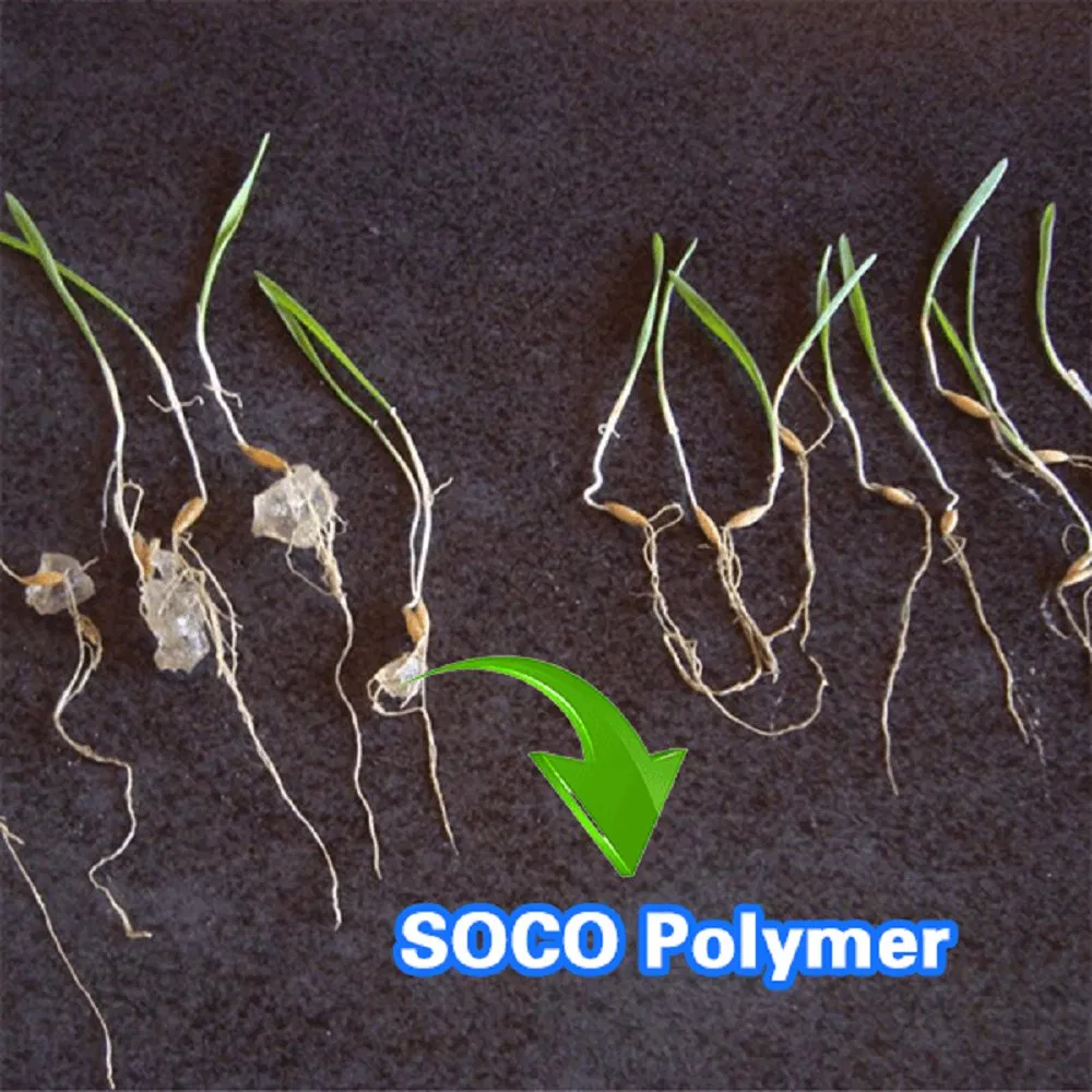 Soco Polymer Potassium Polyacrylate Superabsorbent Polymers for Banana