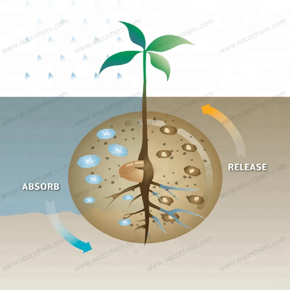Super Absorbent Polymer Potassium Polyacrylate Used for Agricultural