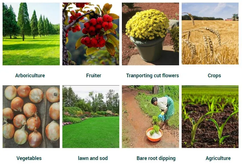 Water Retaining Agent Poliacrilato De Potasio Sap for Reducing Irrigation Frequency