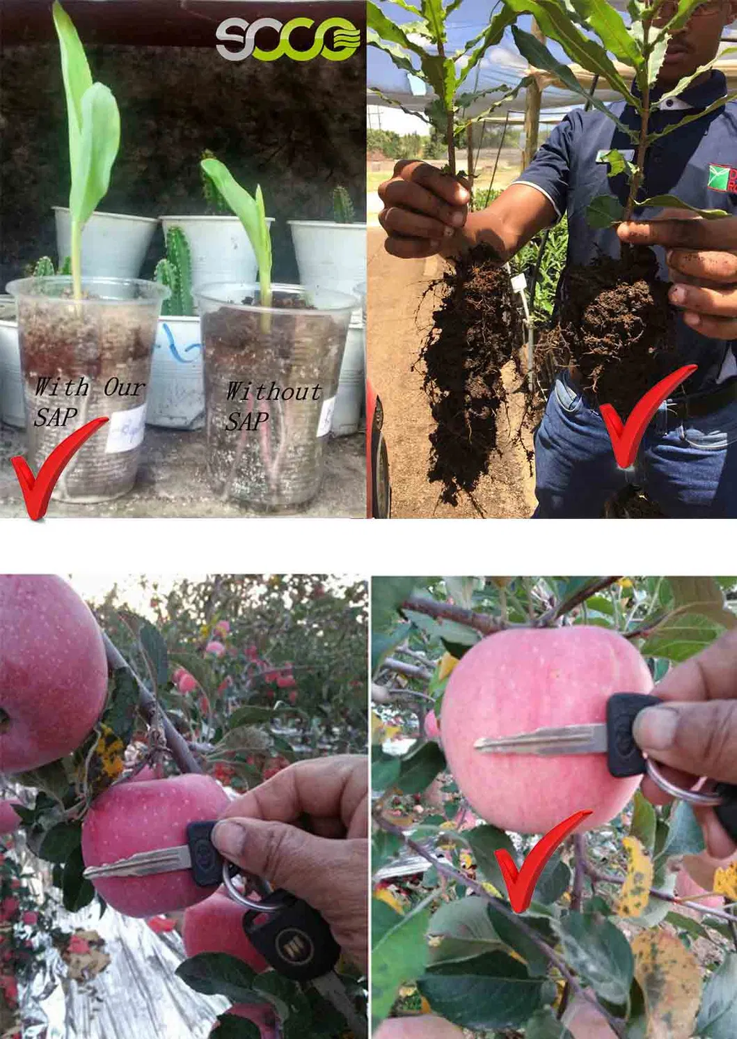 Water Retaining Agent Poliacrilato De Potasio Sap for Reducing Irrigation Frequency