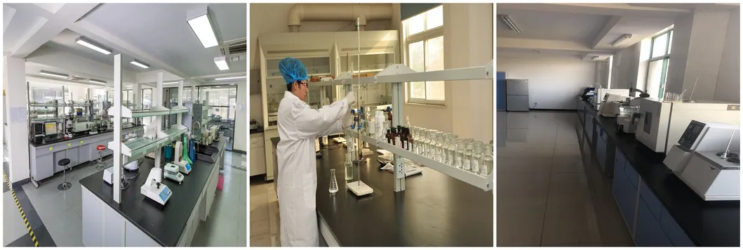 White Powder Good Adhesion Good Solubility Excellent Water Resistance Laroflex MP45 Resin